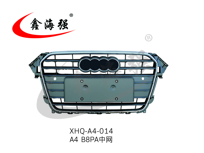 XHQ-A4-014 A4 B8PA in the net